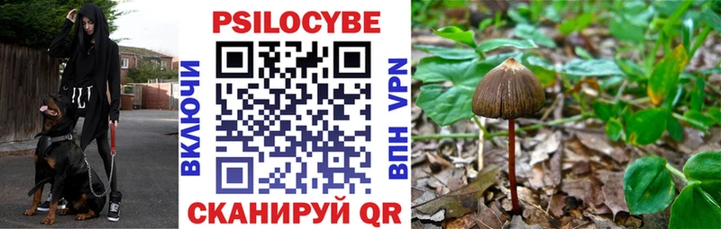 Псилоцибиновые грибы MAGIC MUSHROOMS  Купить  Аксай 